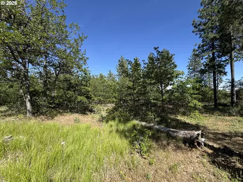 112 Timber Rd, Bickleton, WA 99322 photo 29