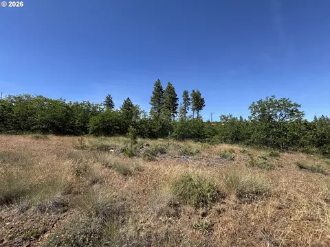 112 Timber Rd, Bickleton, WA 99322 photo 26