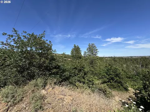 112 Timber Rd, Bickleton, WA 99322 photo 7
