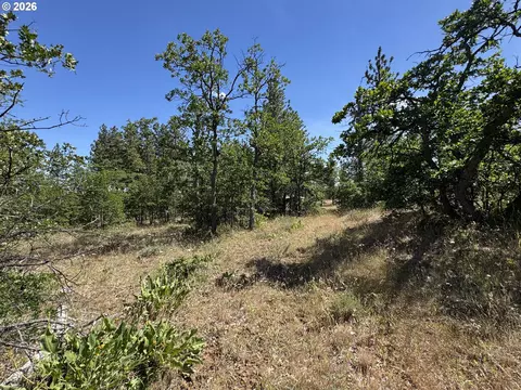 112 Timber Rd, Bickleton, WA 99322 photo 17