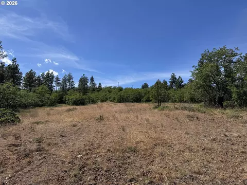 112 Timber Rd, Bickleton, WA 99322 photo 28