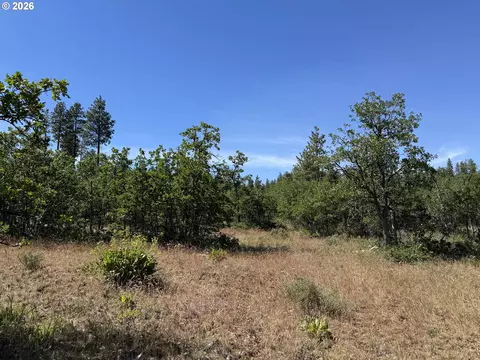 112 Timber Rd, Bickleton, WA 99322 photo 18