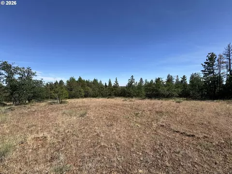 112 Timber Rd, Bickleton, WA 99322 photo 24