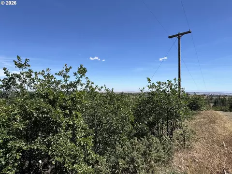 112 Timber Rd, Bickleton, WA 99322 photo 6