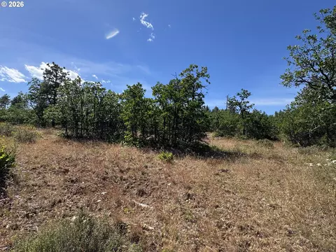 112 Timber Rd, Bickleton, WA 99322 photo 20