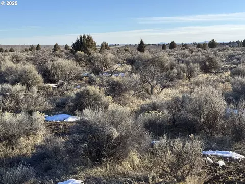 millican rd, Christmas Valley, OR 97641