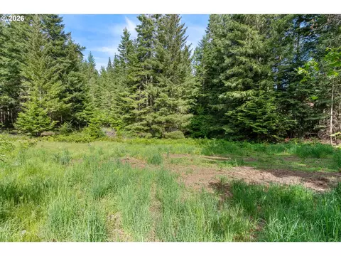 Exterior - 1284 Canyon Rd, Appleton, WA 98602 photo 12 of 13