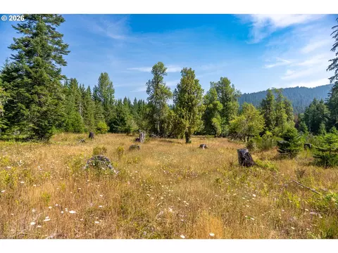 hawk meadows rd, Carson, WA 98610 photo 12