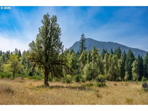 hawk meadows rd, Carson, WA 98610 photo 8