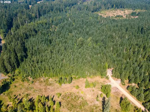 hawk meadows rd, Carson, WA 98610 photo 25