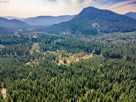 hawk meadows rd, Carson, WA 98610 photo 44
