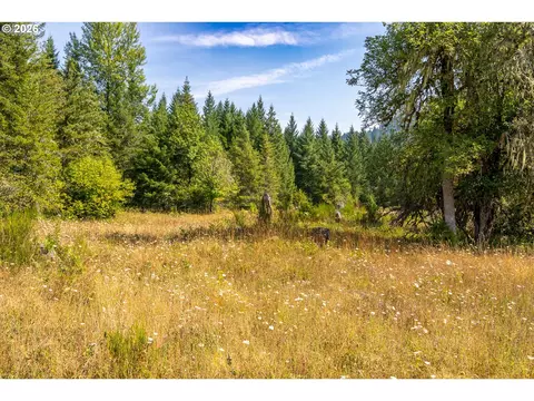 hawk meadows rd, Carson, WA 98610 photo 10