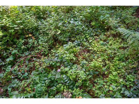 hawk meadows rd, Carson, WA 98610 photo 5