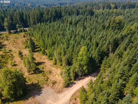 hawk meadows rd, Carson, WA 98610 photo 29