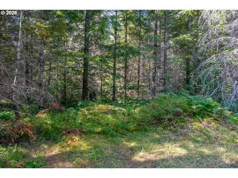 hawk meadows rd, Carson, WA 98610 photo 14