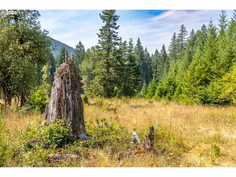 hawk meadows rd, Carson, WA 98610 photo 7