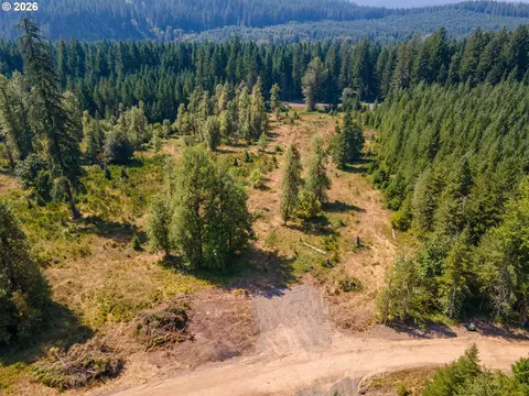 hawk meadows rd, Carson, WA 98610 photo 28