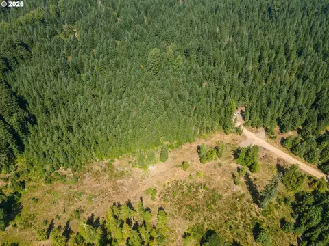 hawk meadows rd, Carson, WA 98610 photo 24
