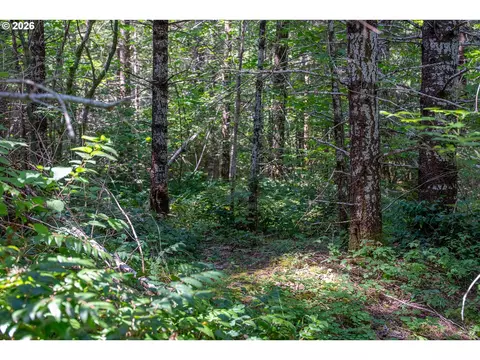 hawk meadows rd, Carson, WA 98610 photo 18