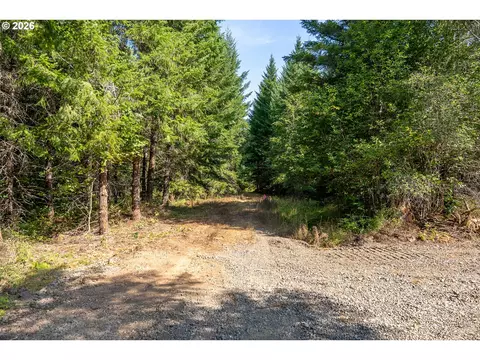 hawk meadows rd, Carson, WA 98610 photo 38