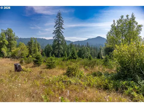 hawk meadows rd, Carson, WA 98610 photo 13