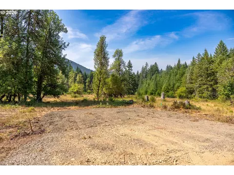 hawk meadows rd, Carson, WA 98610 photo 3
