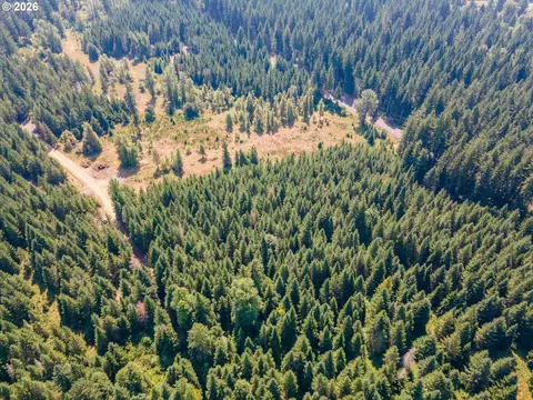 hawk meadows rd, Carson, WA 98610 photo 27