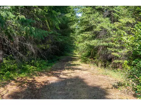 hawk meadows rd, Carson, WA 98610 photo 4