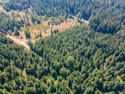 hawk meadows rd, Carson, WA 98610 photo 22