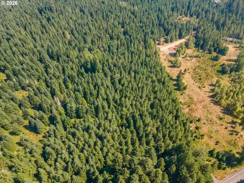 hawk meadows rd, Carson, WA 98610 photo 23