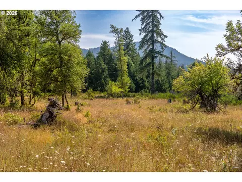 hawk meadows rd, Carson, WA 98610 photo 9