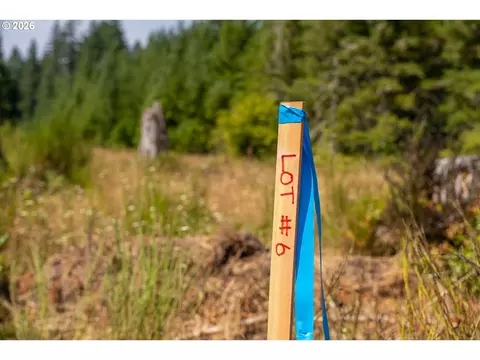 hawk meadows rd, Carson, WA 98610 photo 33