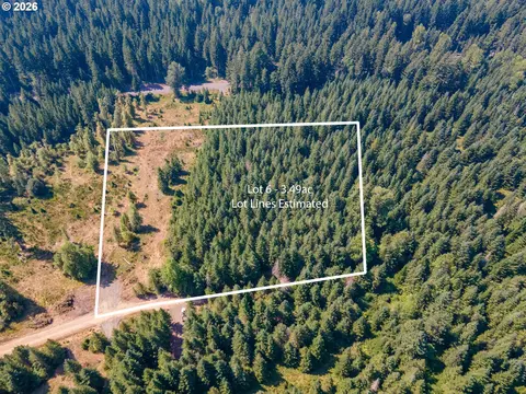 hawk meadows rd, Carson, WA 98610 photo 19