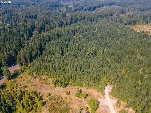 hawk meadows rd, Carson, WA 98610 photo 26