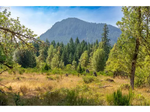 hawk meadows rd, Carson, WA 98610 photo 6