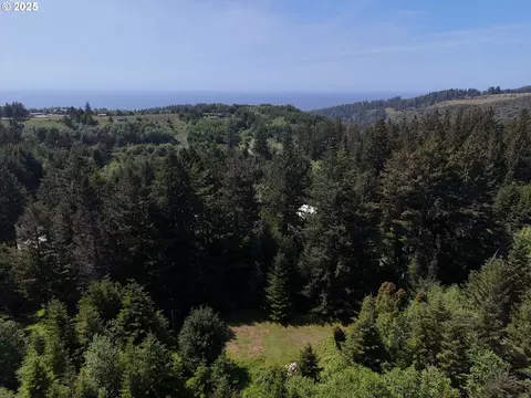 20452 Whaleshead Rd, Brookings, OR 97415