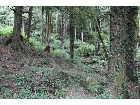Picture Windw Lane, Arch Cape, OR 97102