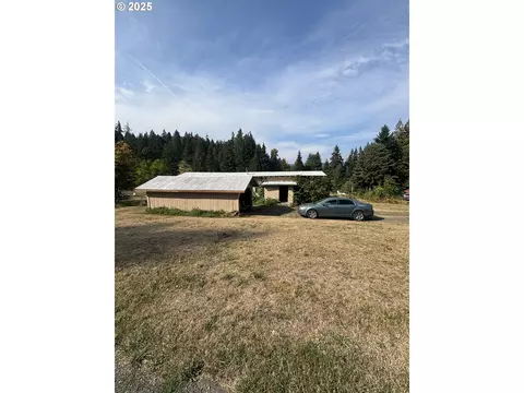 52 Wilkinson St, Carson, WA 98610