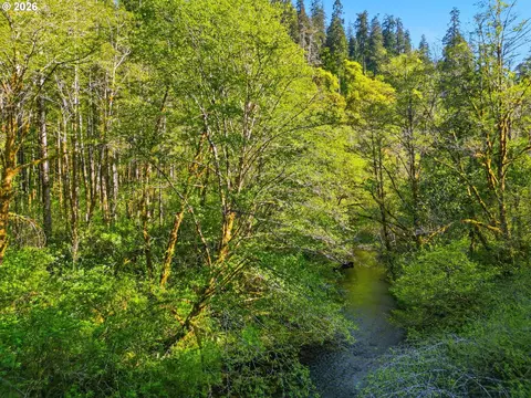 Upper North Fork Rd, Florence, OR 97439 photo 9