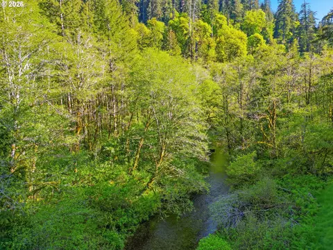 Upper North Fork Rd, Florence, OR 97439 photo 8