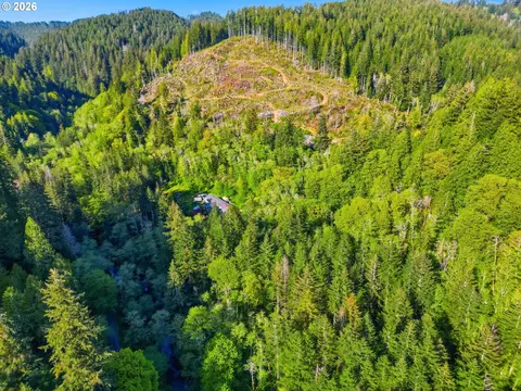 Upper North Fork Rd, Florence, OR 97439 photo 18