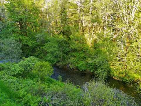 Upper North Fork Rd, Florence, OR 97439 photo 13
