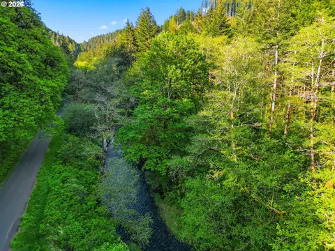 Upper North Fork Rd, Florence, OR 97439 photo 15