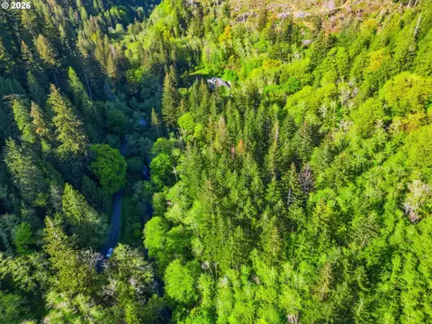 Upper North Fork Rd, Florence, OR 97439 photo 3