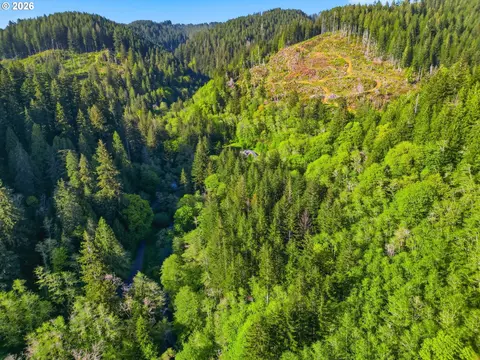 Upper North Fork Rd, Florence, OR 97439 photo 19