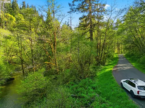 Upper North Fork Rd, Florence, OR 97439 photo 10