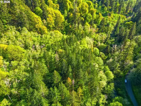 Upper North Fork Rd, Florence, OR 97439 photo 6