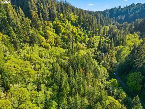 Upper North Fork Rd, Florence, OR 97439 photo 5