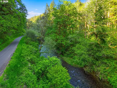 Upper North Fork Rd, Florence, OR 97439 photo 14