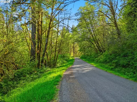 Upper North Fork Rd, Florence, OR 97439 photo 11